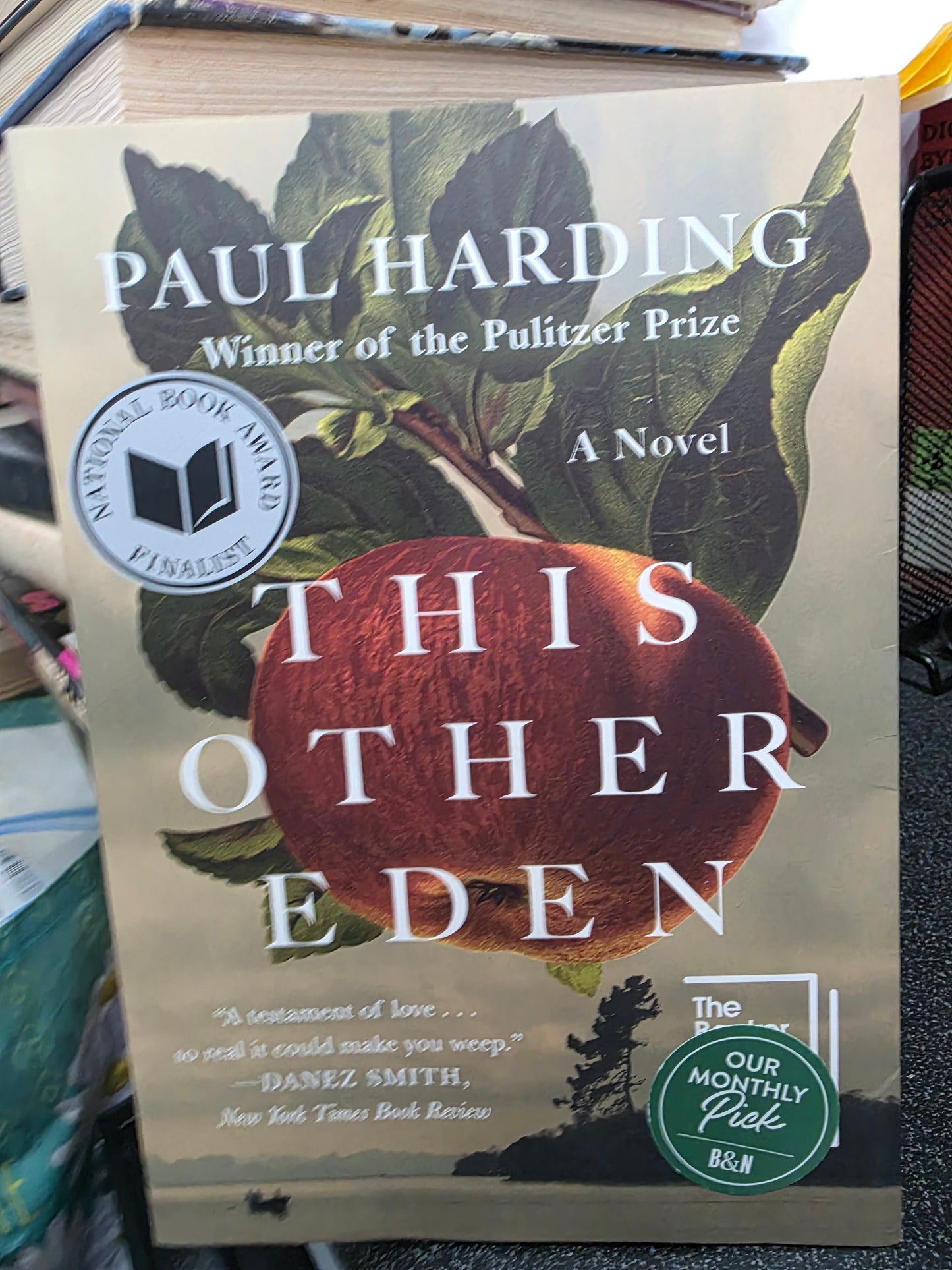 THIS OTHER EDEN (USED)PGF