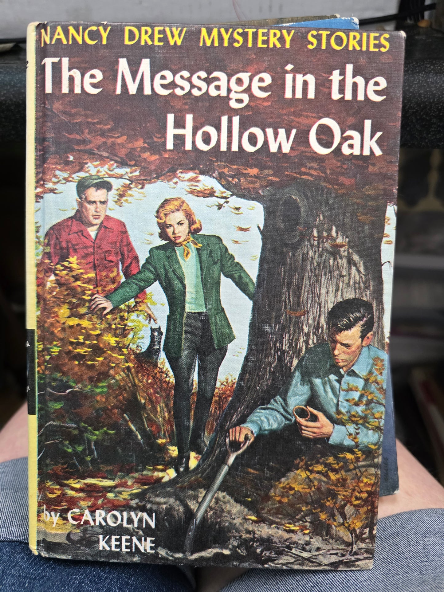 The Message in the Hollow Oak by Carolyn Keene