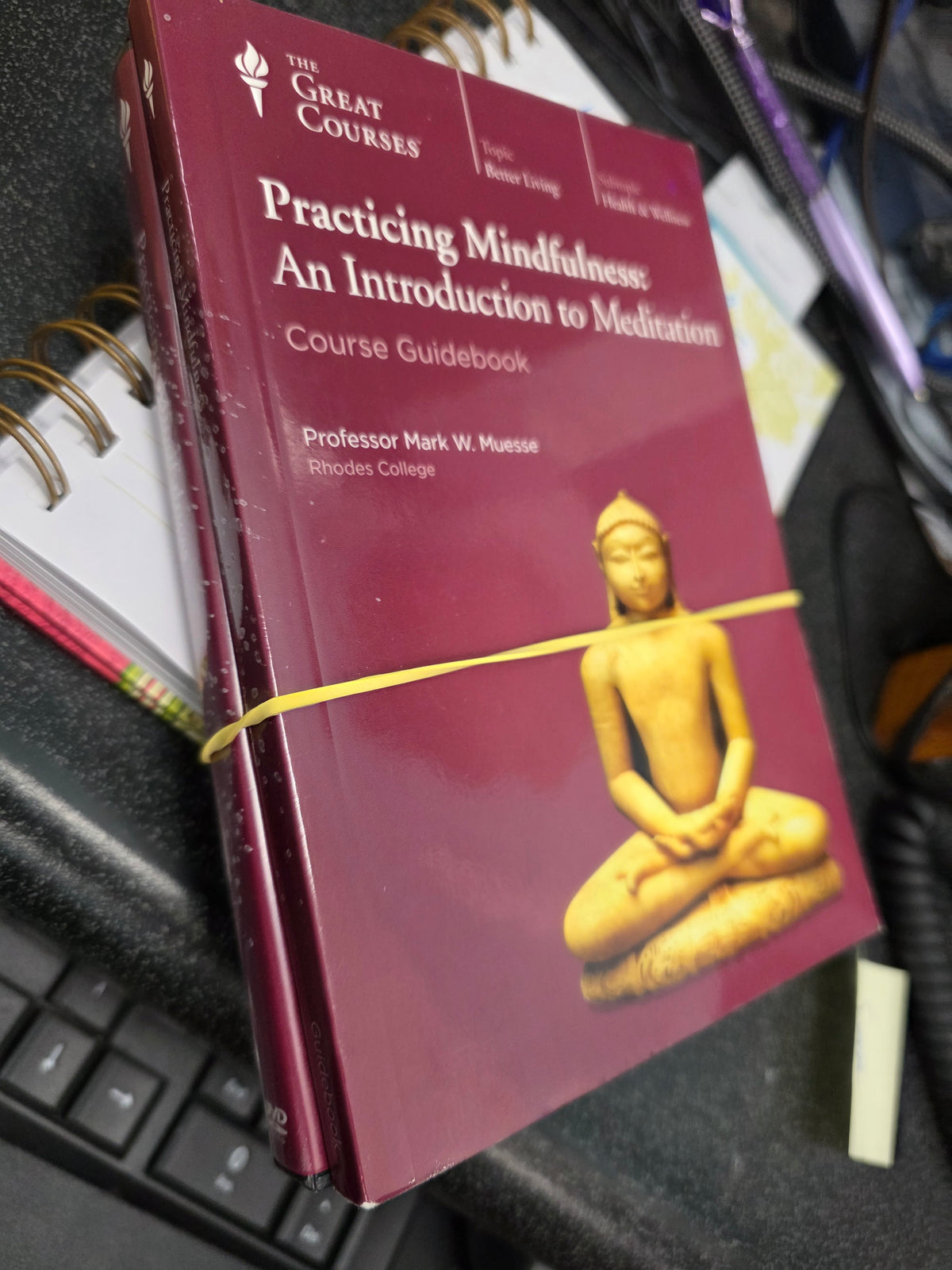 racticing Mindfulness: An Introduction to Meditation (Course Guidebook & DVD Set)- BMS used set