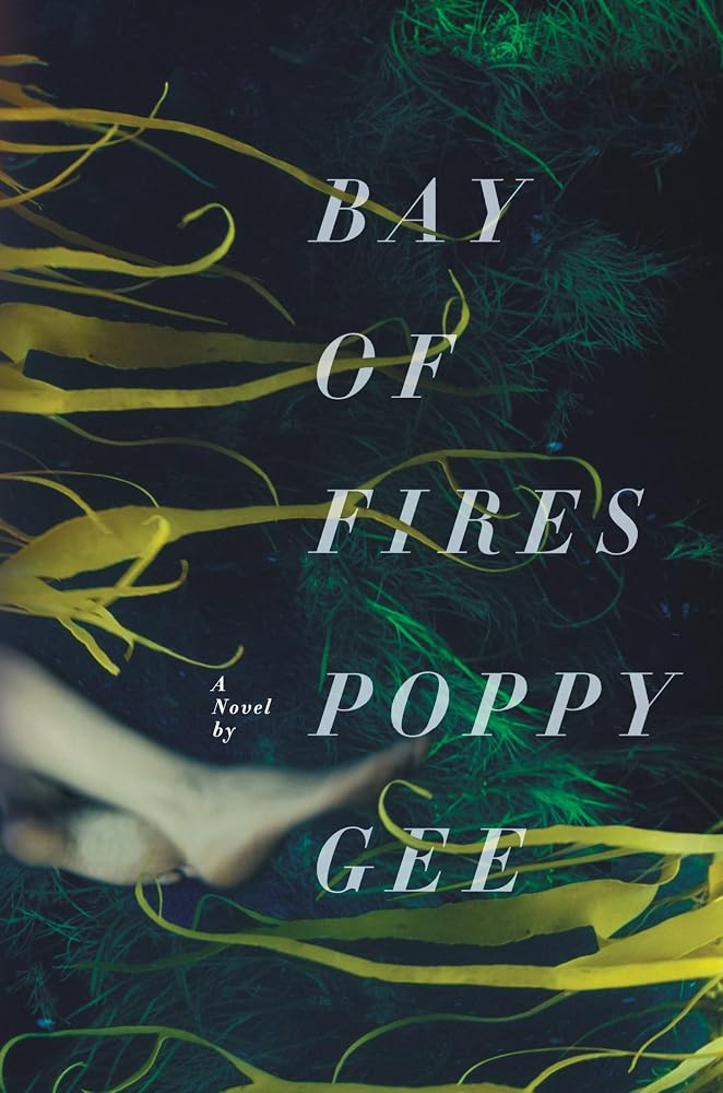 Bay of Fires: A Novel cover image