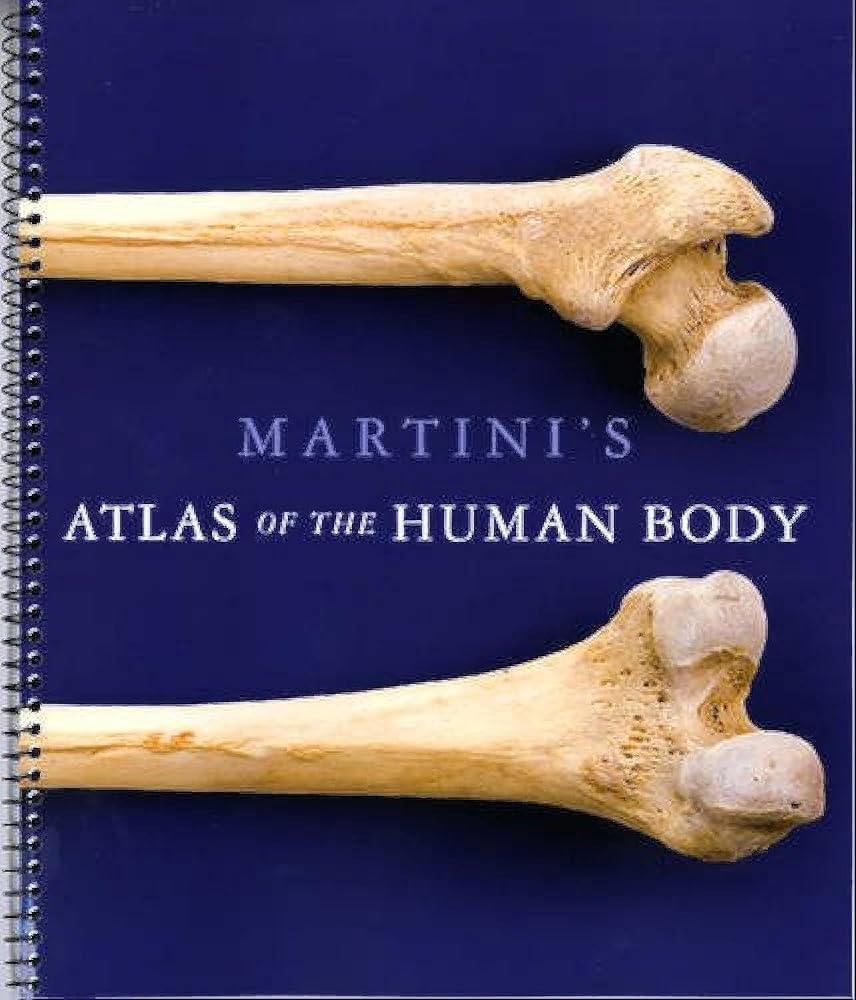 Martini's Atlas of the Human Body (ME Component) cover image