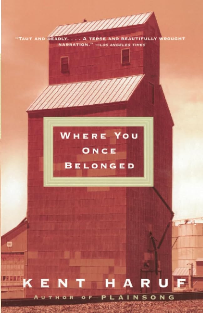 Where You Once Belonged cover image