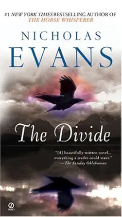 The Divide cover image