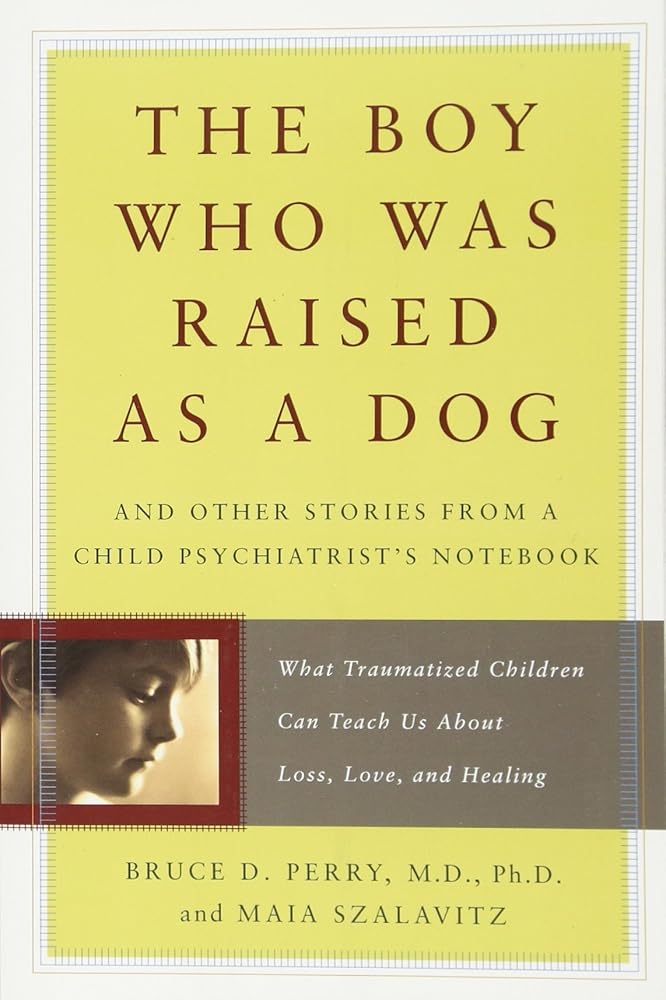 The Boy Who Was Raised as a Dog: And Other Stories from a Child Psychiatrist's Notebook -- What Traumatized Children Can Teach Us About Loss, Love, and Healing cover image