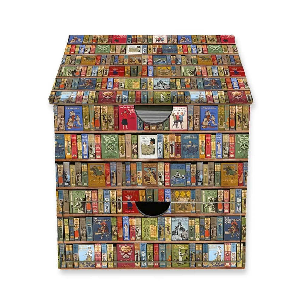Bodleian Libraries: High Jinks Bookshelves Flame Tree Memo Box with Drawer cover image
