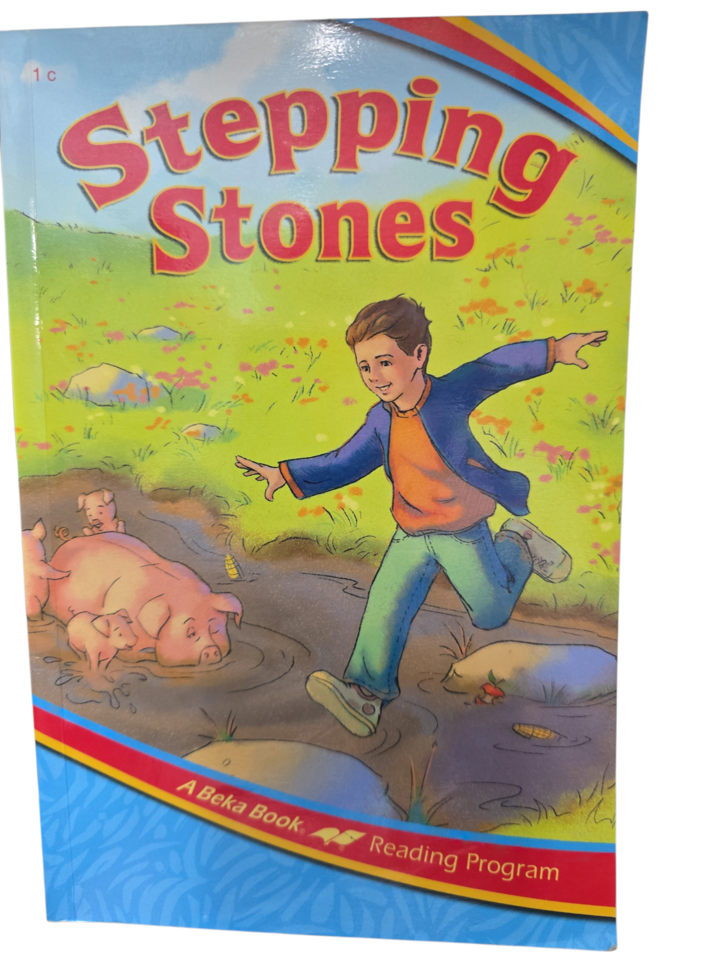STEPPING STONES (USED) CNF