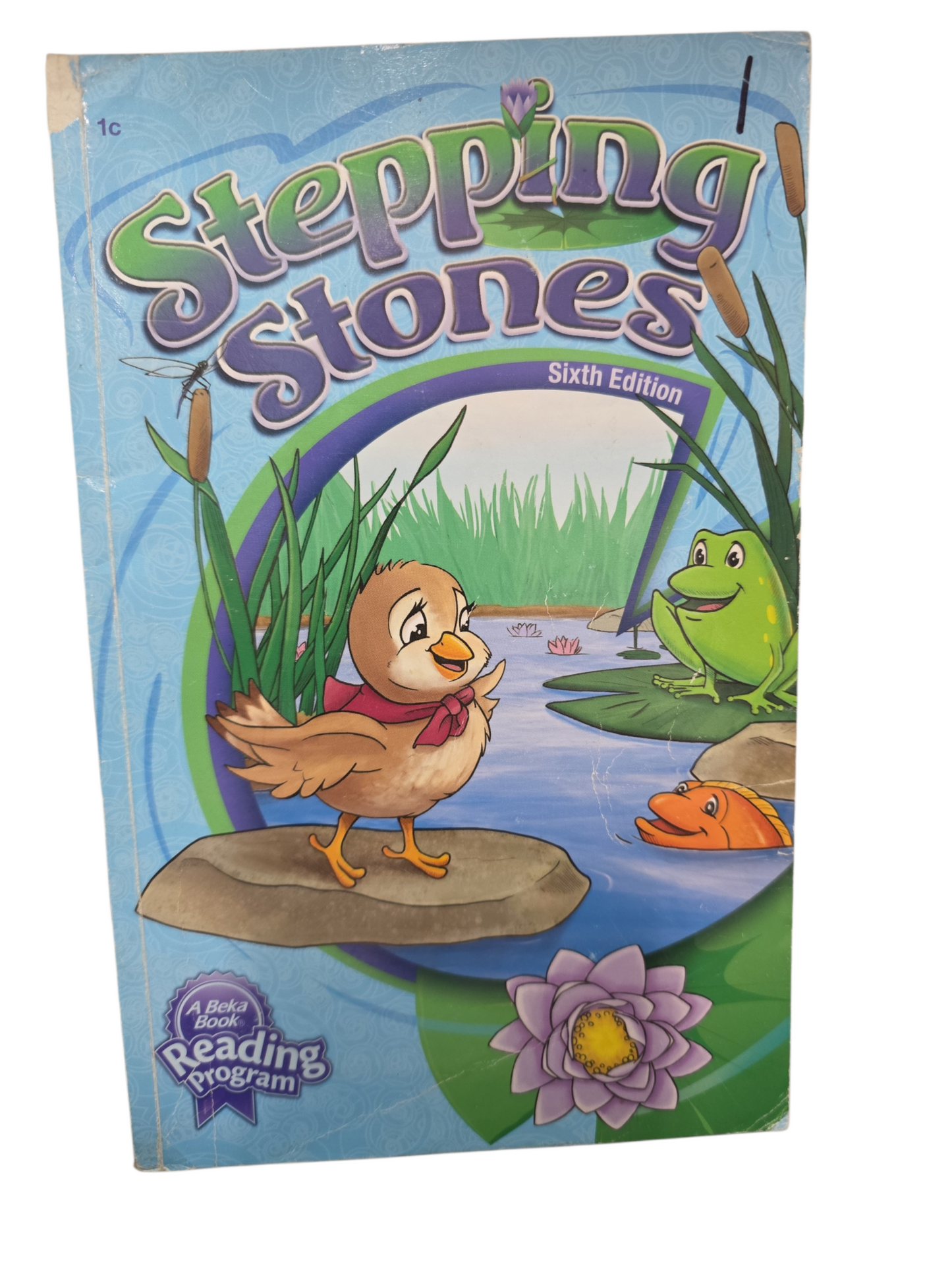 STEPPING STONES 6TH ED (USED) CNF