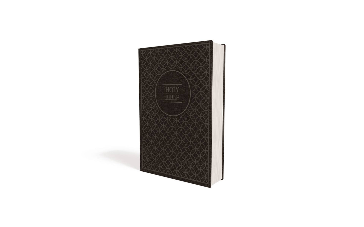 NIV Value Thinline Bible Large Print Leathersoft Gray/Black