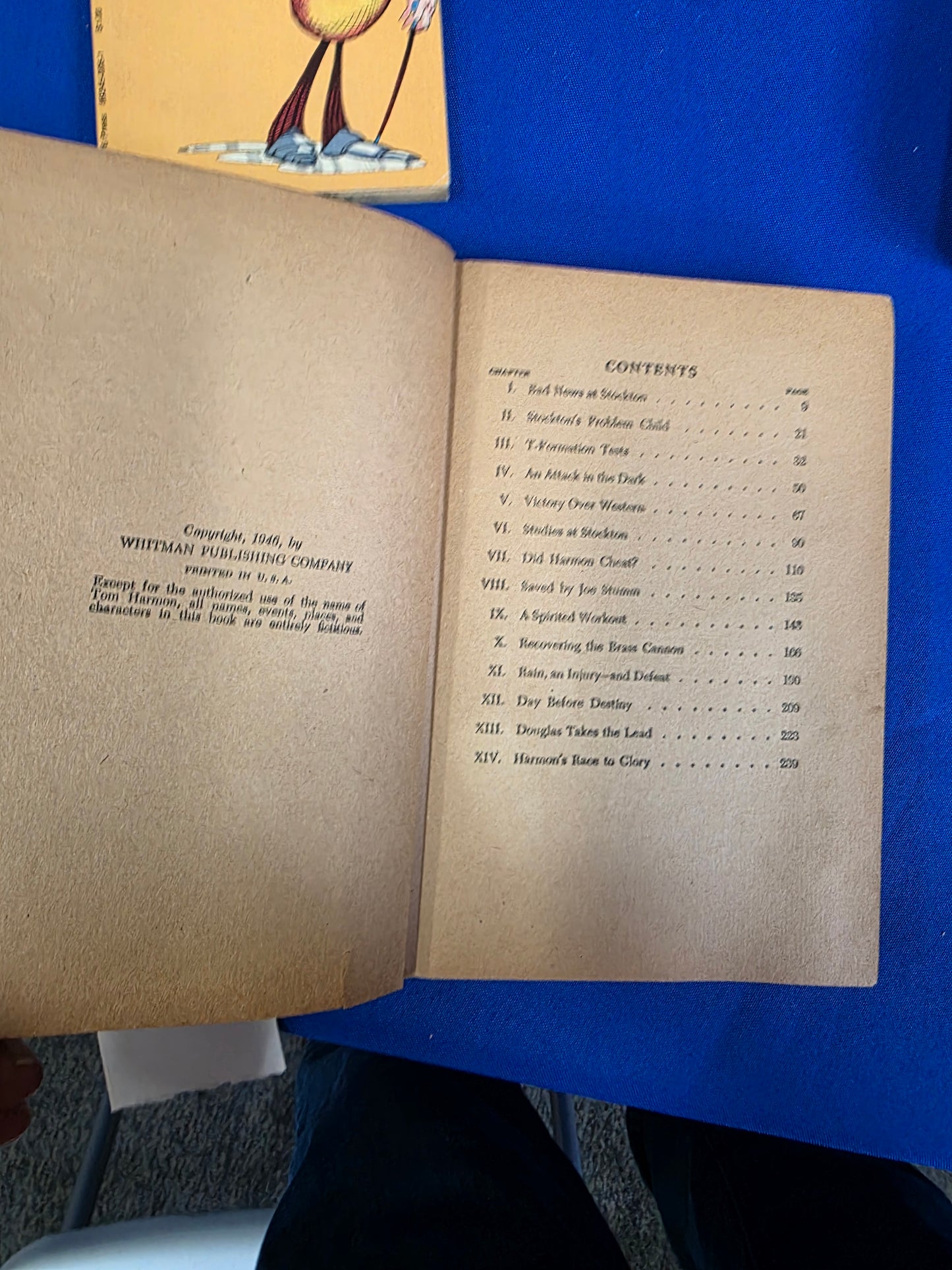 TOM HARMON THE GREAT GRIDIRON PLOT- USED , FAIR, COLL