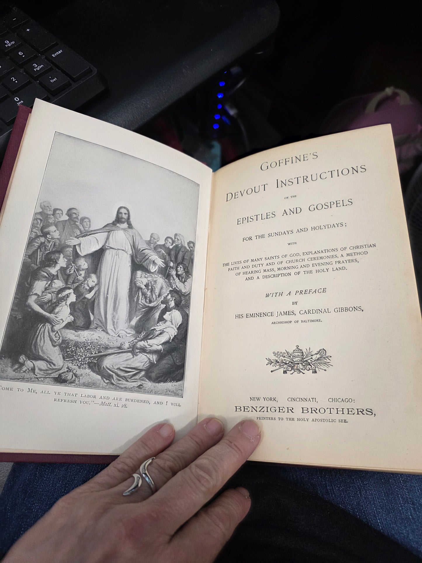 Goffine's Devout Instructions on the Epistles and Gospels for the Sundays and Holydays