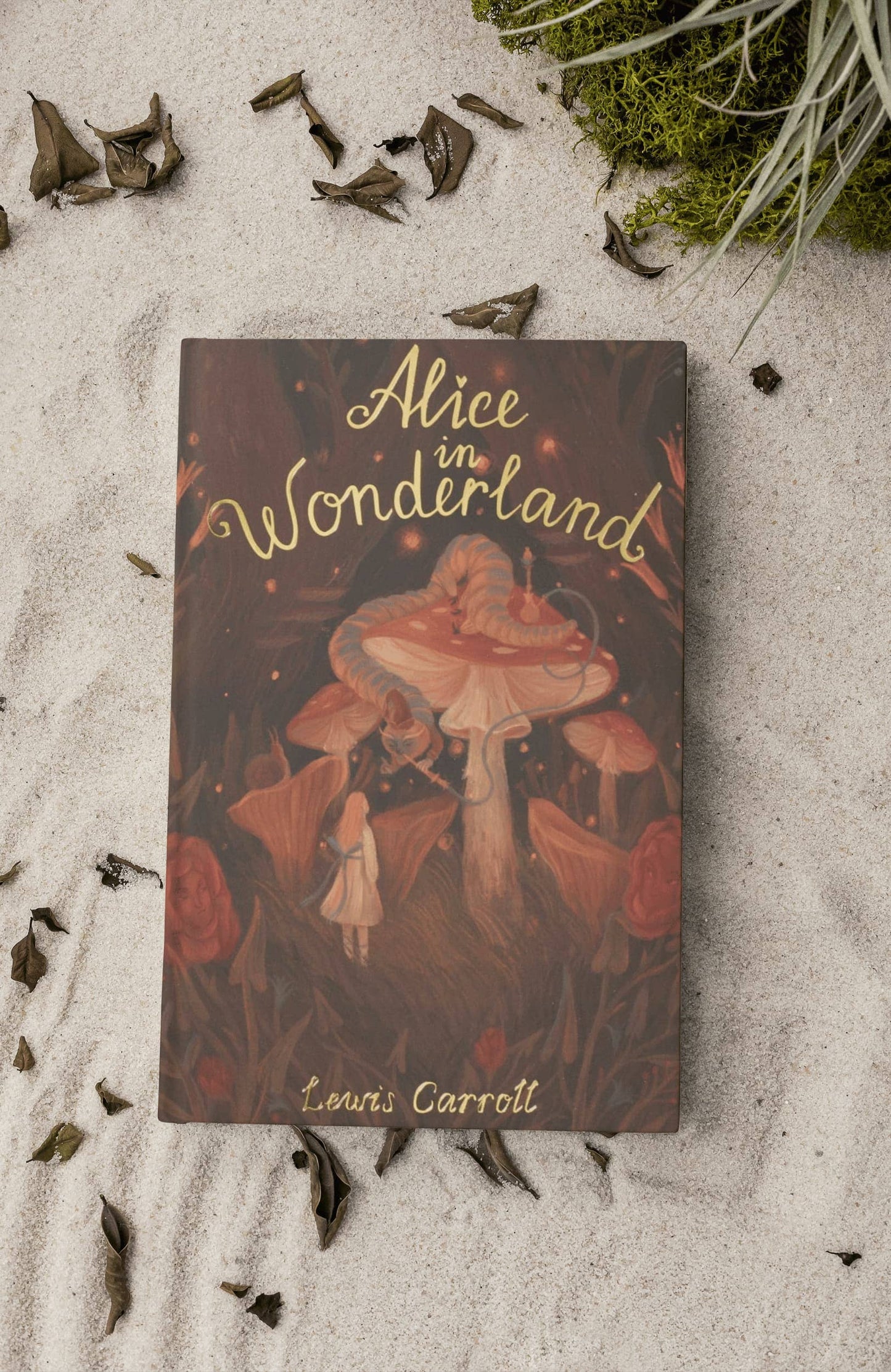 Alice in Wonderland | Wordsworth Children's Classics | Book