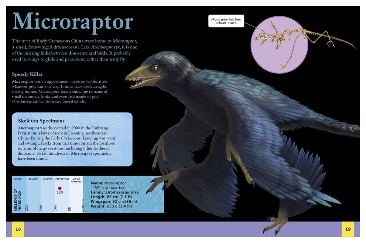 Ultimate Dinosaur Encyclopedia by Clare Hibbert: Paperback; 512 pages / English- NEW CNF