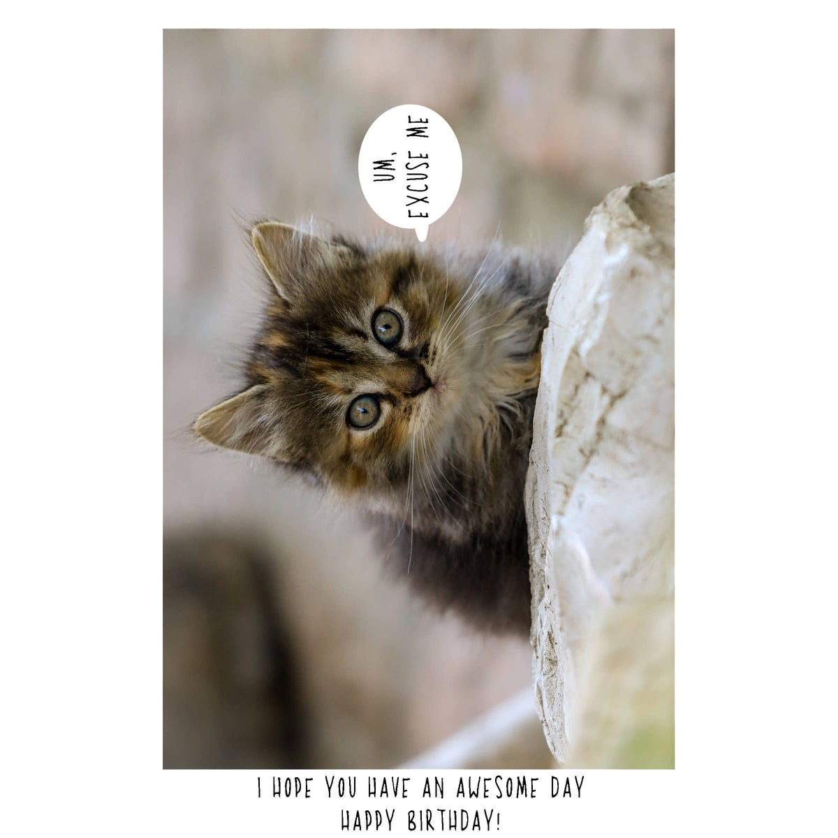 Kitten | Cute Birthday Card