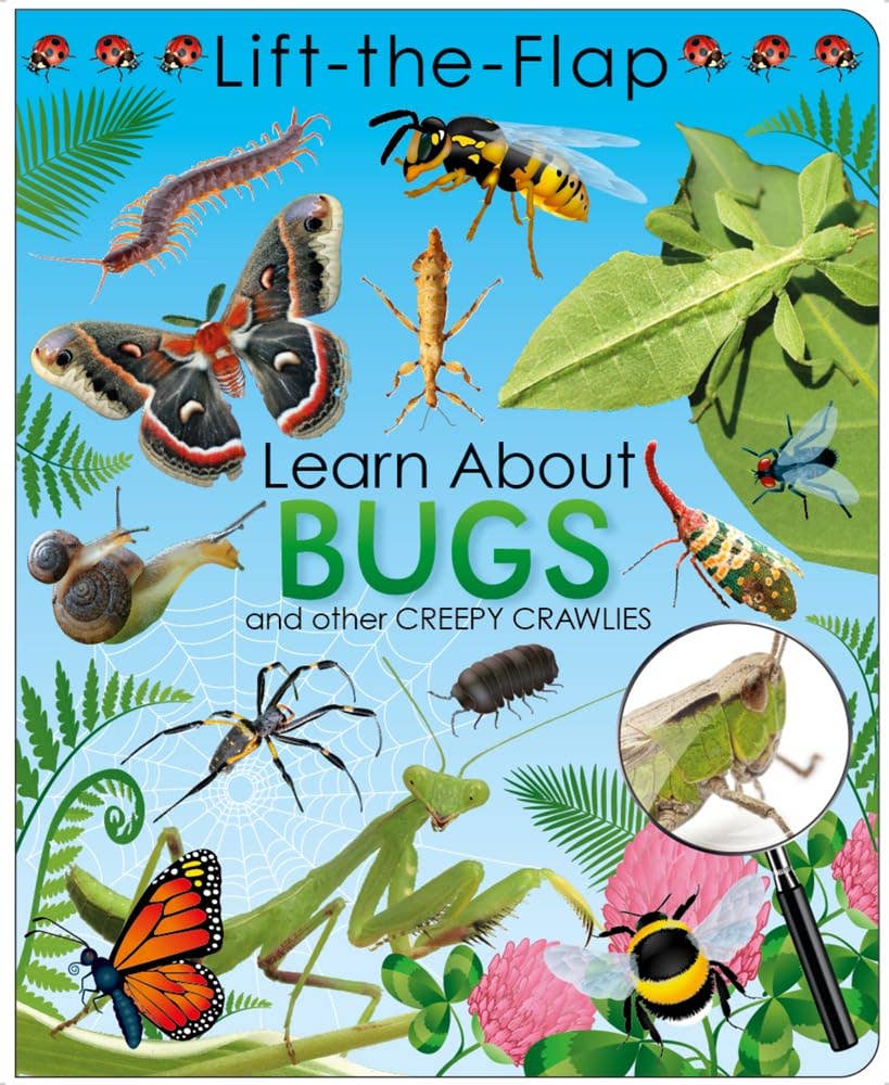 LIFT THE FLAP LEARN ABOUT BUGS- NEW CNF