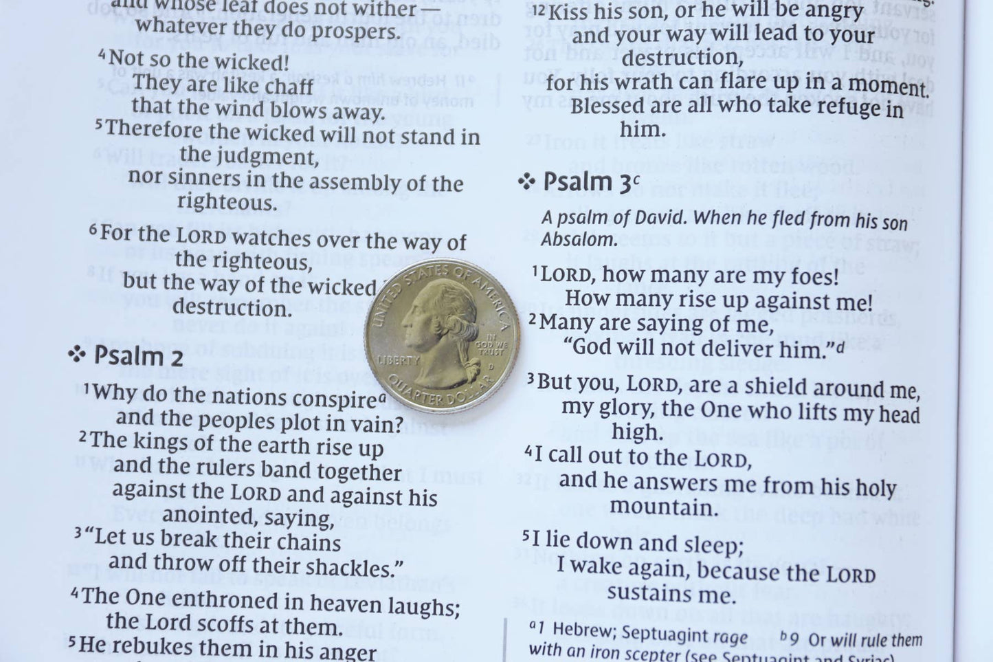 NIV Value Thinline Bible Large Print Leathersoft Gray/Black