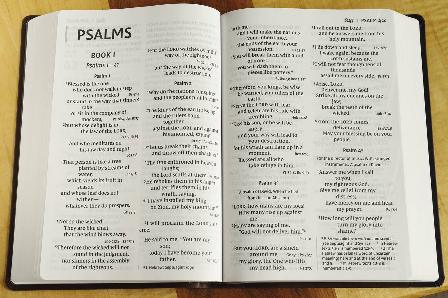 NIV Super Giant Print Reference Bible Leathersoft Brown