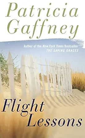 Flight Lessons cover image