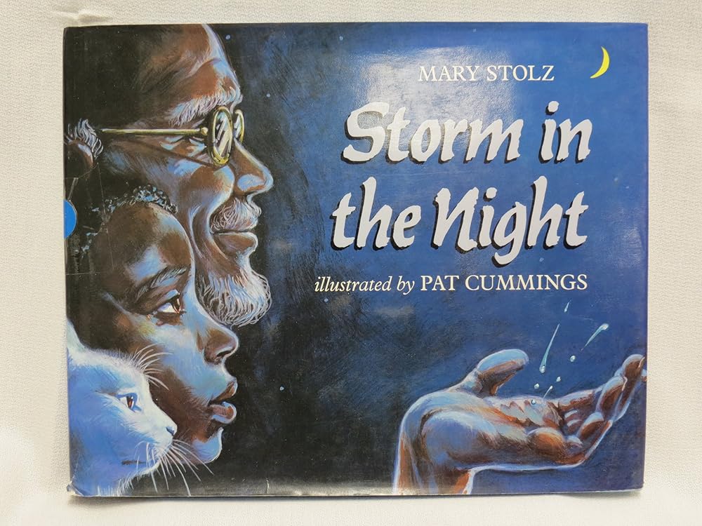 Storm in the Night cover image