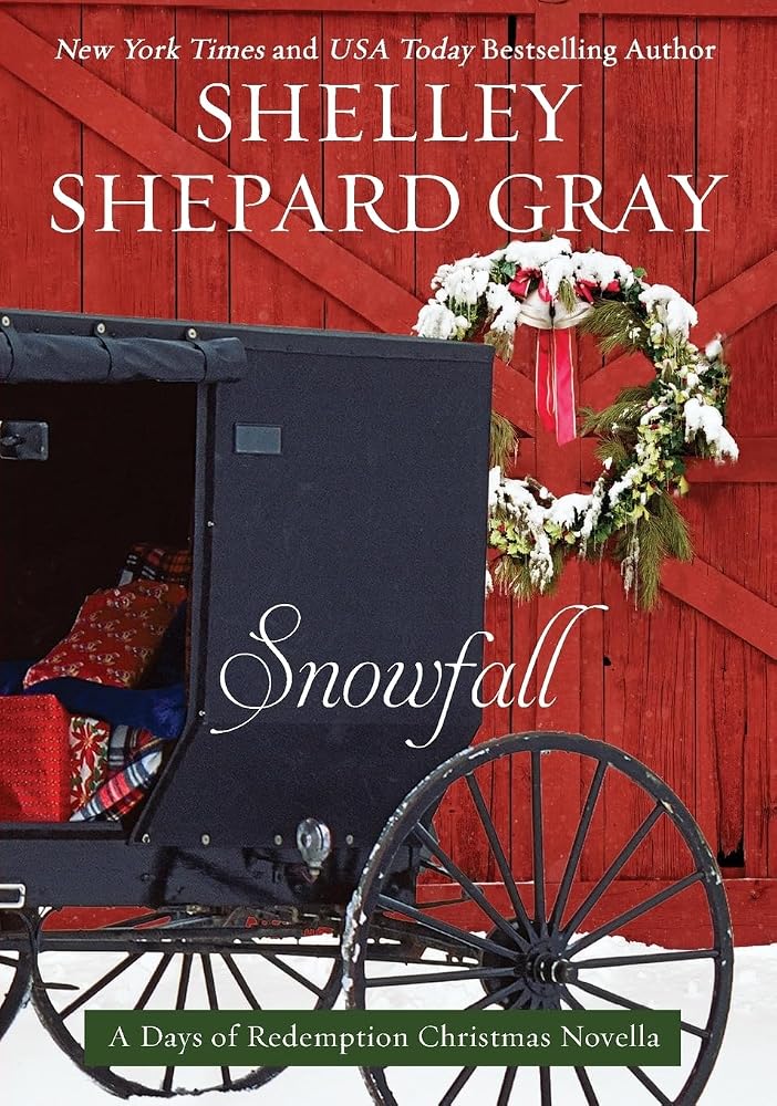 Snowfall: A Christmas Romance About Second Chances, Unexpected Love, and Finding Family with Six Children (Days of Redemption, 4) cover image