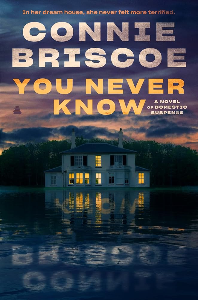 You Never Know: A Novel of Domestic Suspense cover image