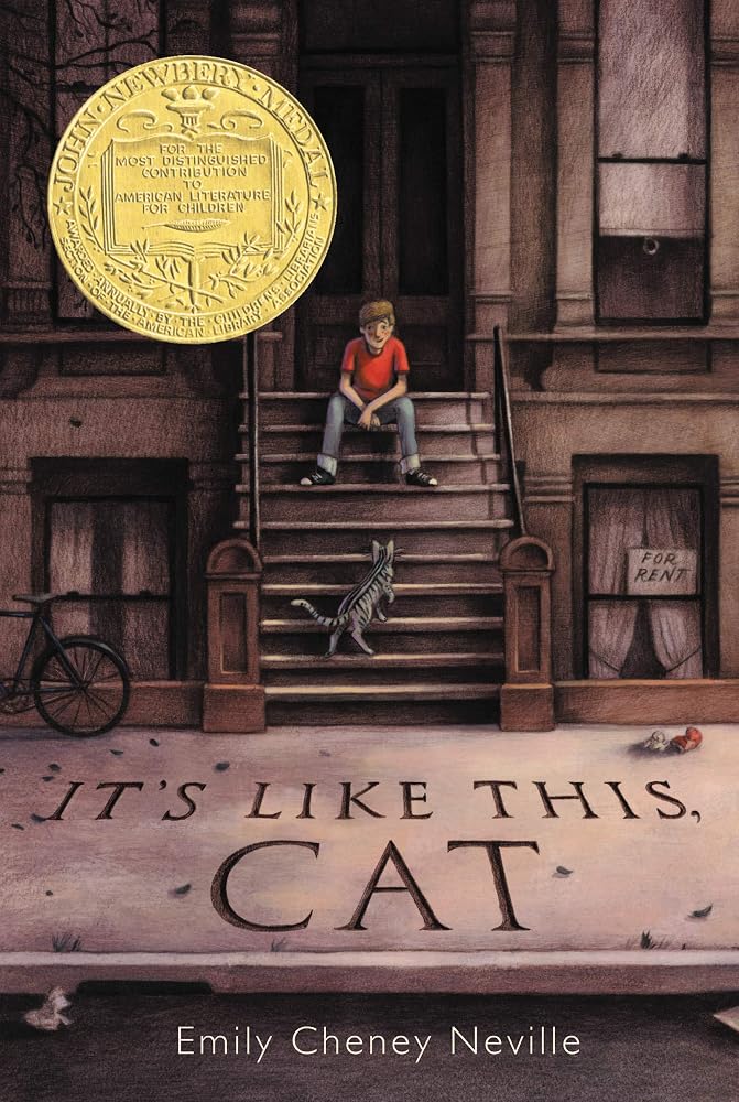 It's Like This, Cat: A Newbery Award Winner cover image