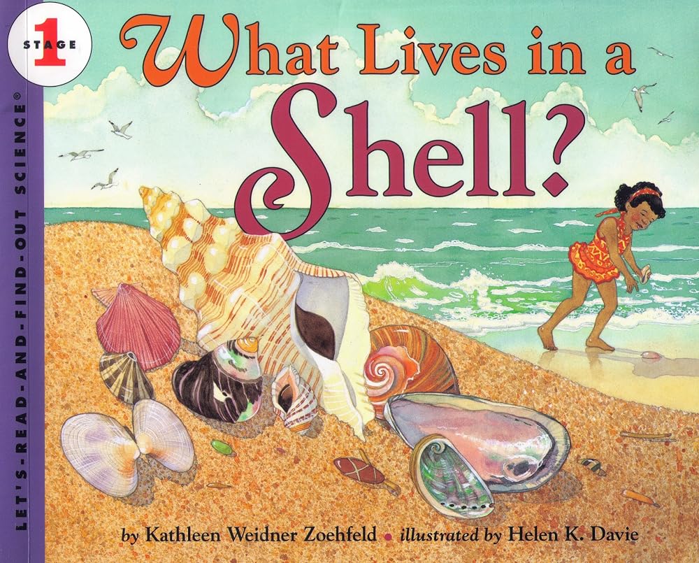 What Lives in a Shell? (Let's-Read-and-Find-Out Science 1) cover image