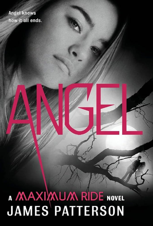 Angel: A Maximum Ride Novel (Maximum Ride, 7) cover image