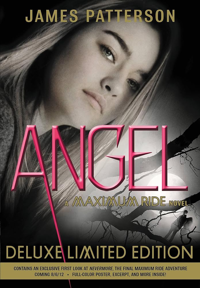 Angel: A Maximum Ride Novel cover image