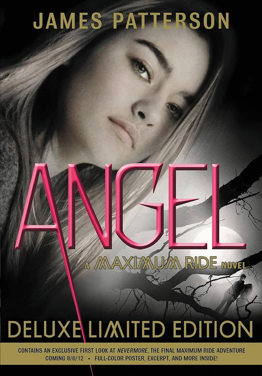 Angel: A Maximum Ride Novel cover image