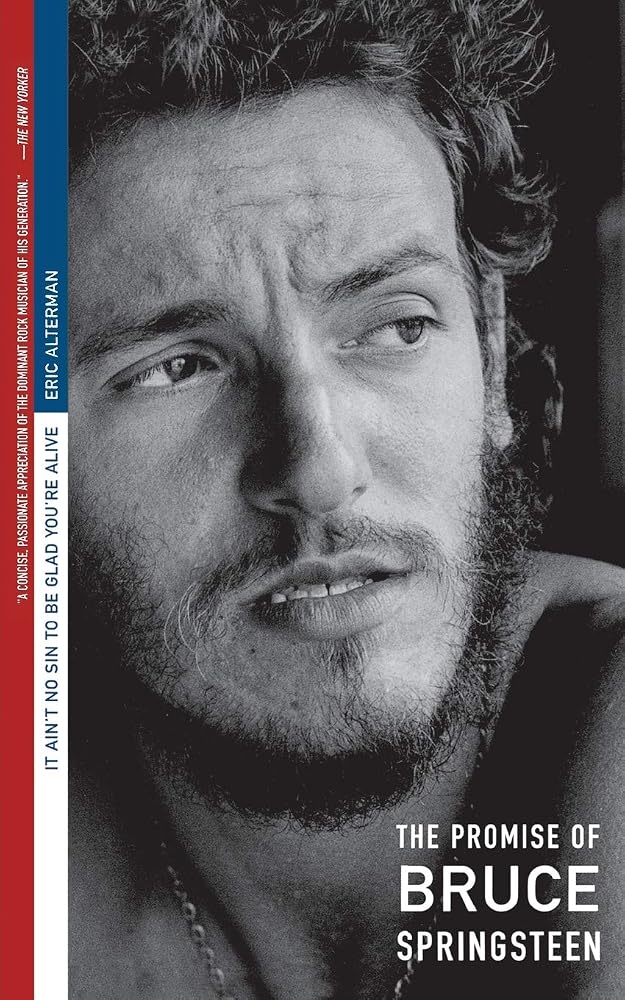 It Ain't No Sin To Be Glad You're Alive: The Promise of Bruce Springsteen cover image
