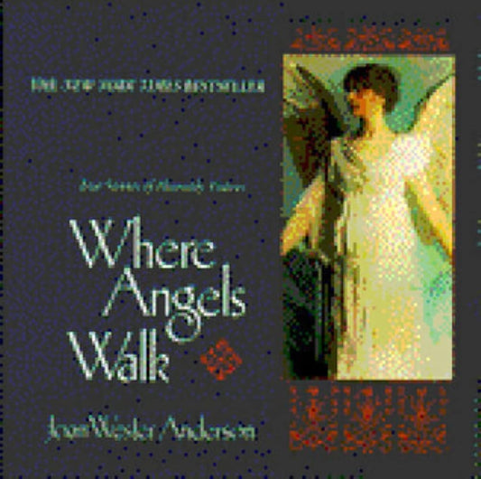 Where Angels Walk cover image
