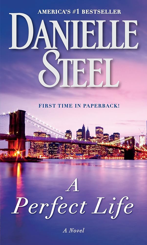 A Perfect Life: A Novel cover image