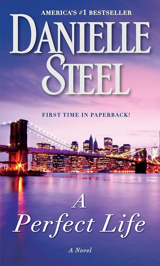 A Perfect Life: A Novel cover image