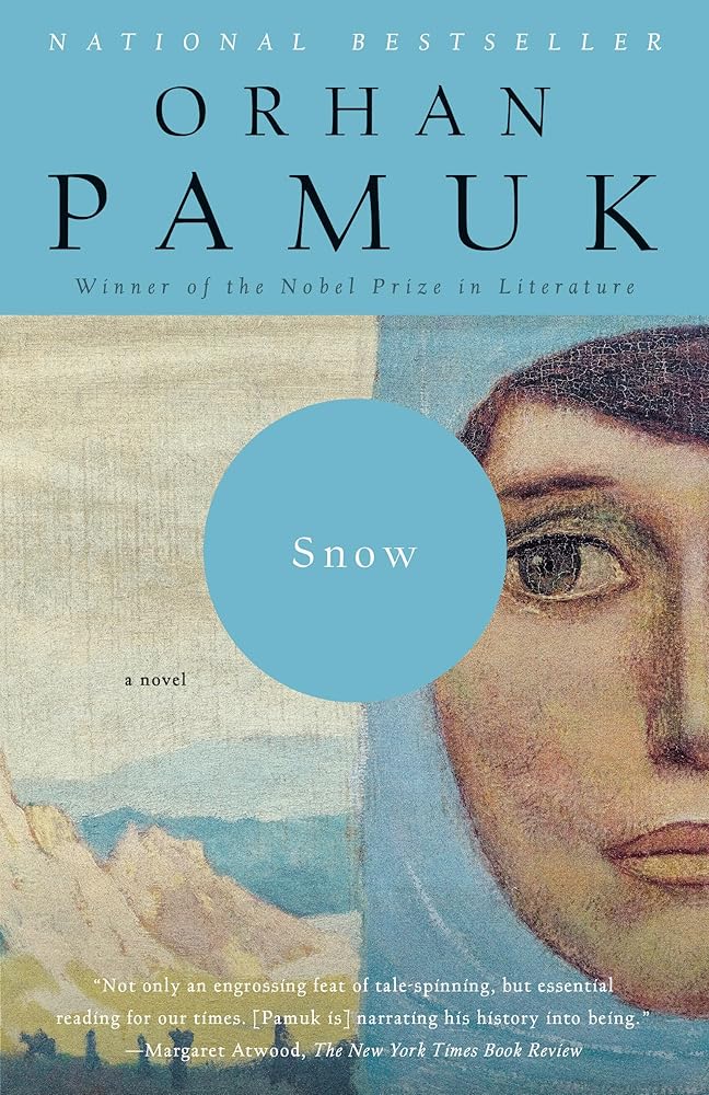 Snow cover image