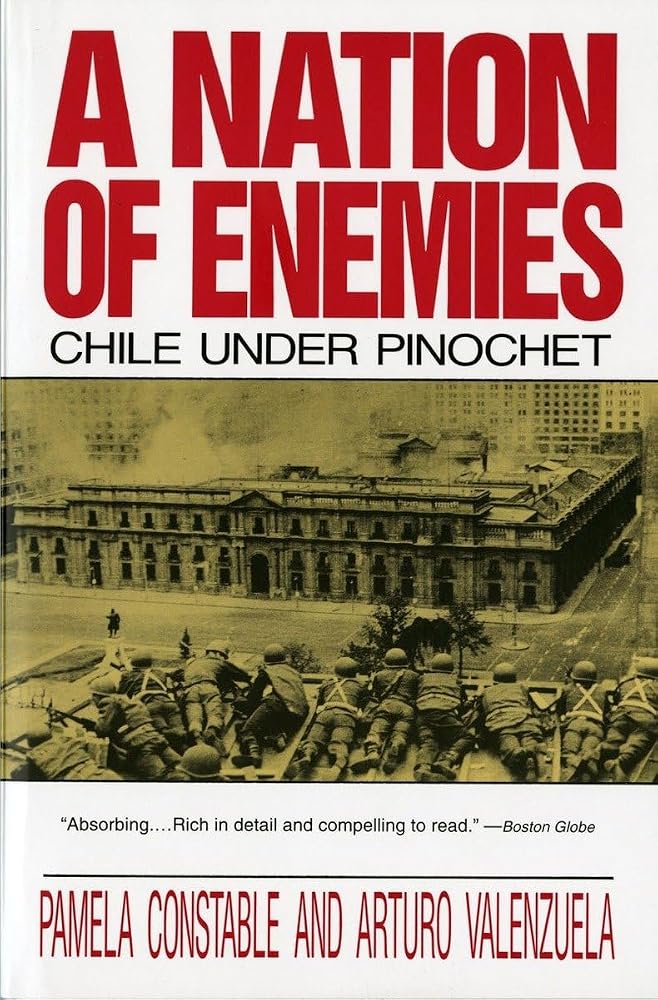 A Nation of Enemies: Chile Under Pinochet (Norton Paperback) cover image