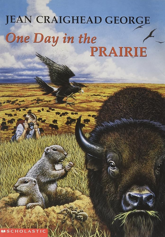 One Day in the Prairie cover image