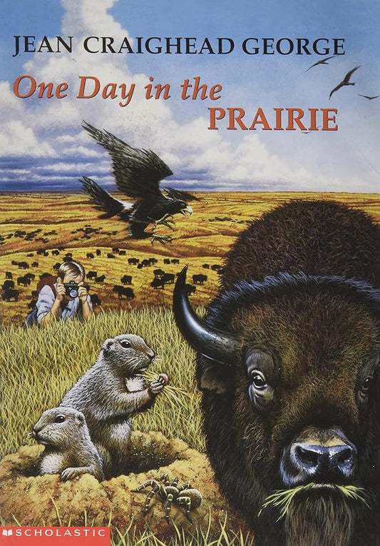 One Day in the Prairie cover image