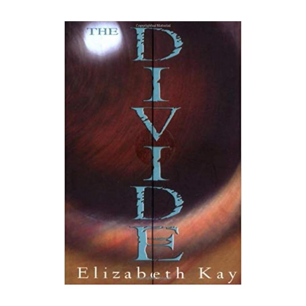 The Divide cover image