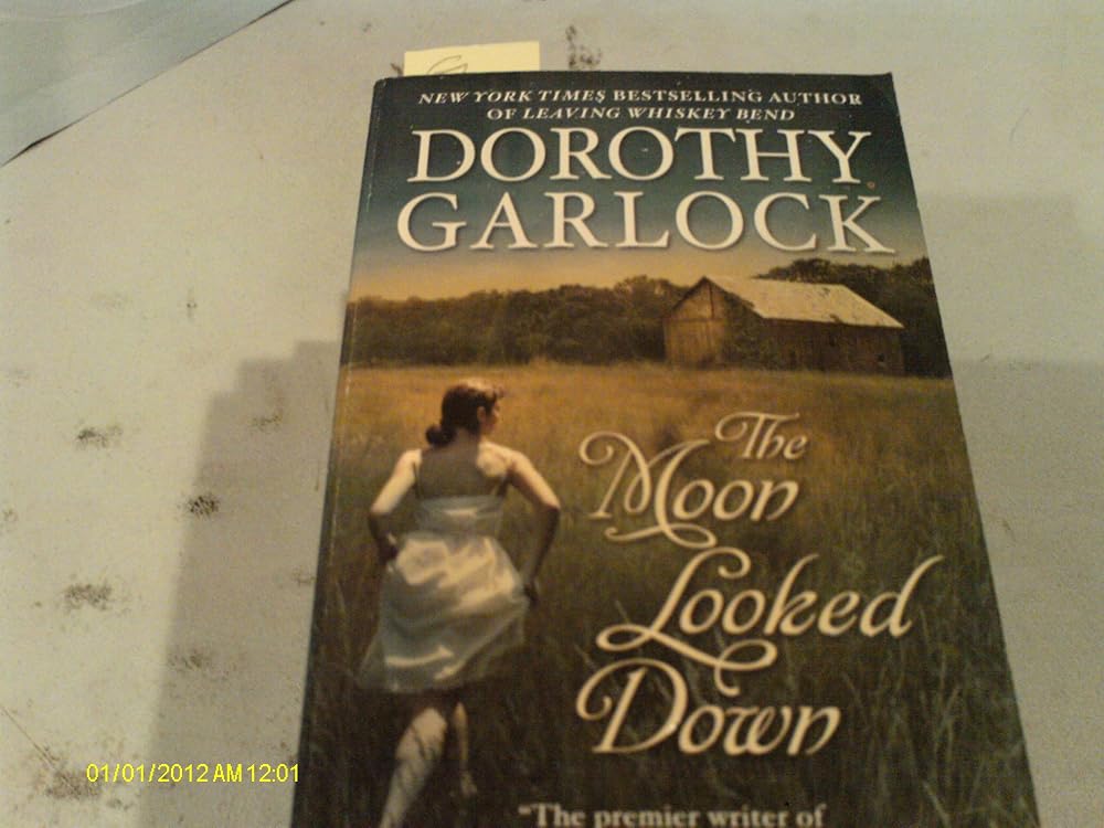 The Moon Looked Down cover image