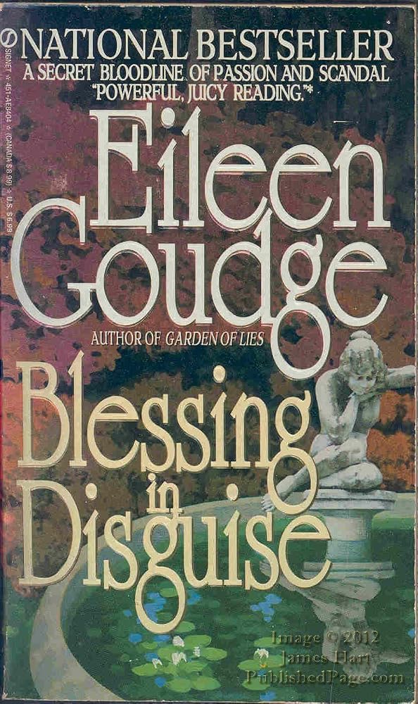 Blessing in Disguise cover image