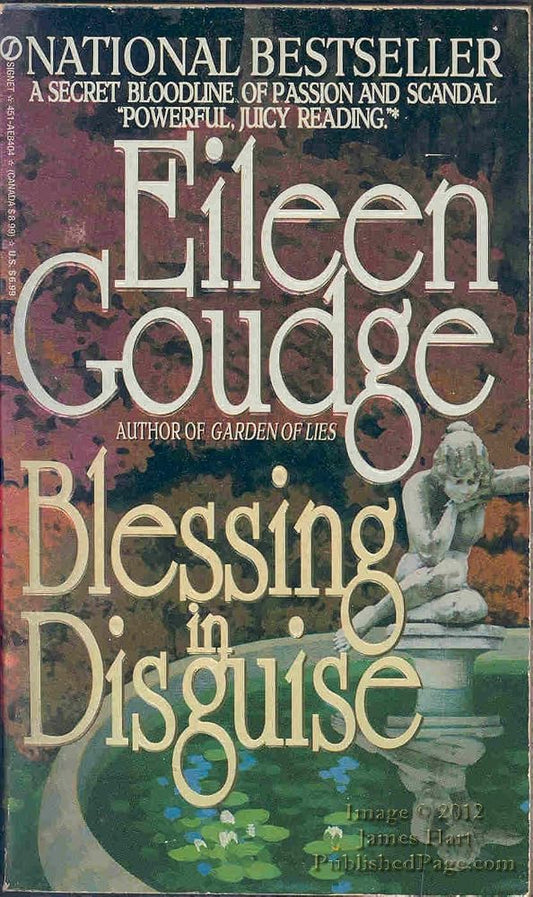 Blessing in Disguise cover image