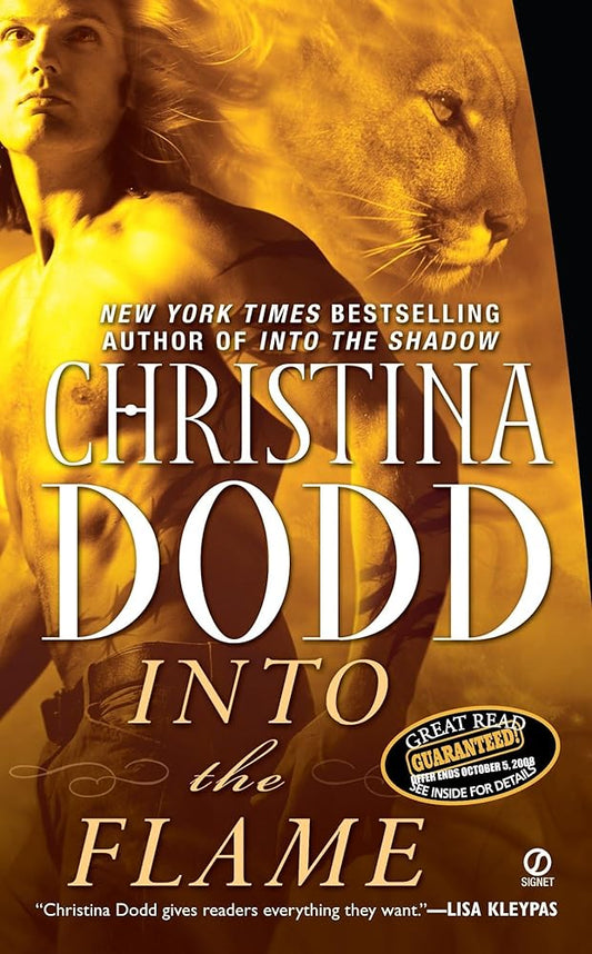 Into the Flame (Darkness Chosen, Book 4) cover image