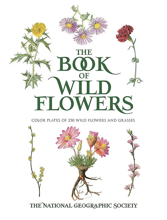 The Book of Wild Flowers: Color Plates of 250 Wild Flowers and Grasses cover image