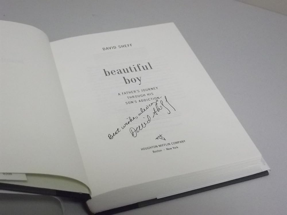 Beautiful Boy: A Father's Journey Through His Son's Addiction cover image