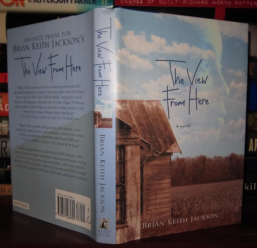The View from Here cover image