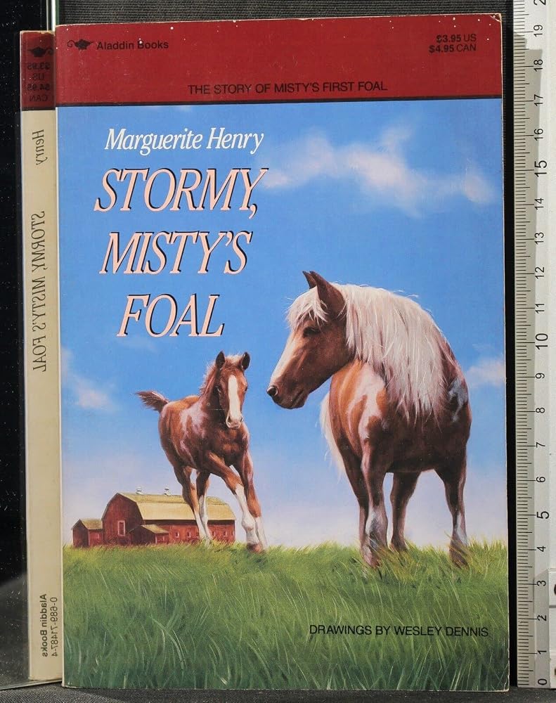 Stormy, Misty's Foal cover image