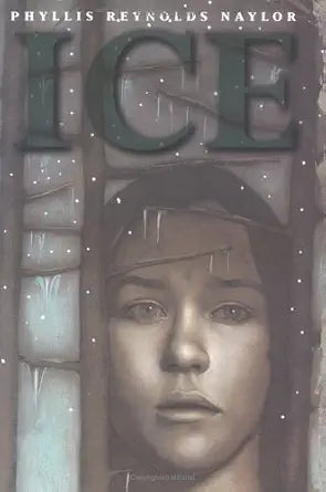 Ice cover image