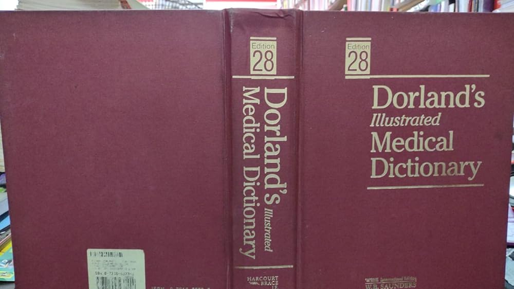 Dorland's Illustrated Medical Dictionary: Standard Edition cover image