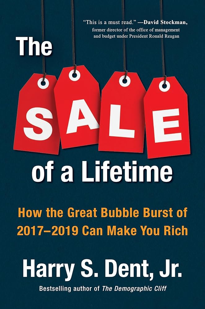 The Sale of a Lifetime: How the Great Bubble Burst of 2017-2019 Can Make You Rich cover image