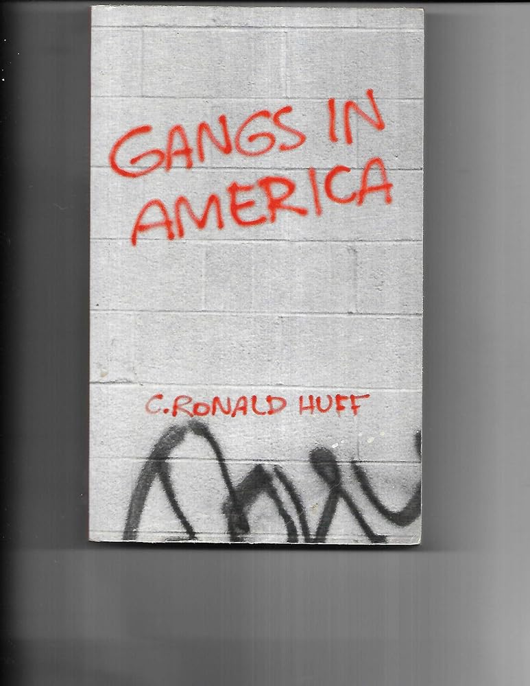 Gangs in America cover image